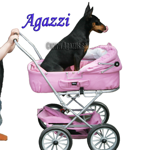 agazzi